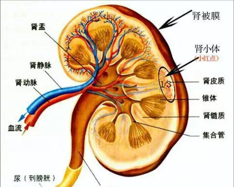 中国证券英才网