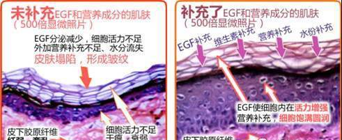 16K小说网