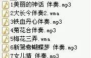 二胡伴奏大全8G，1000多首专业曲目伴奏+示范