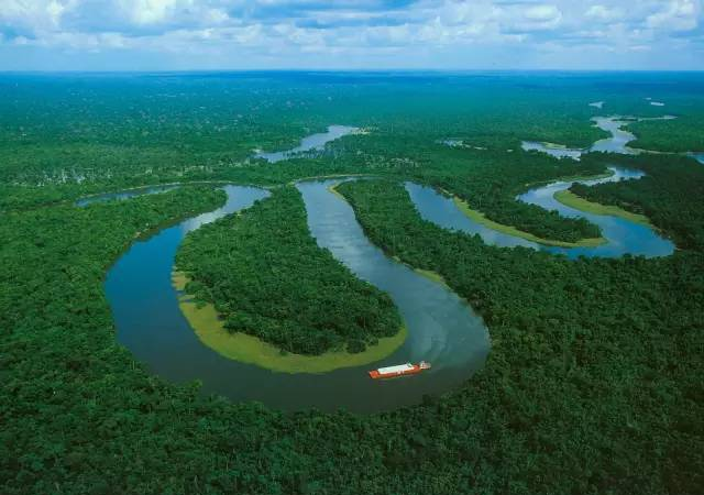 亚马逊河杀手排行榜，前3竟然是它们？