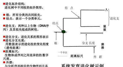 电大在线