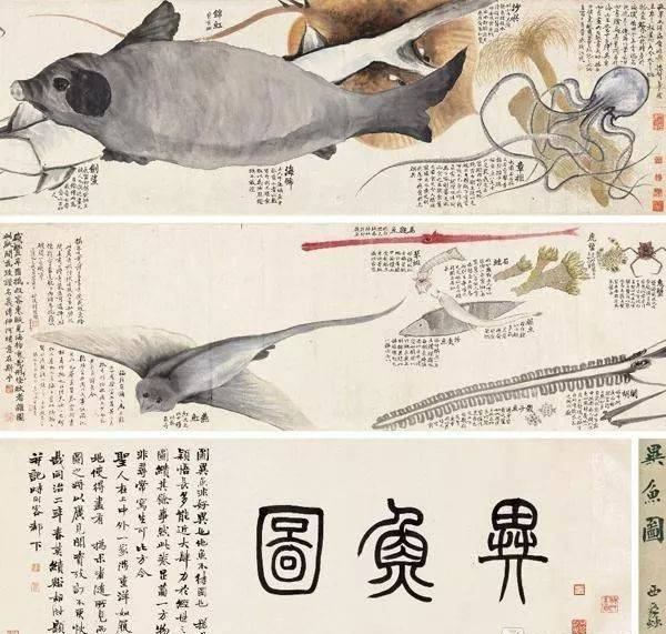 江豚海豚那么可爱，古人竟然给它画了个猪脑袋？