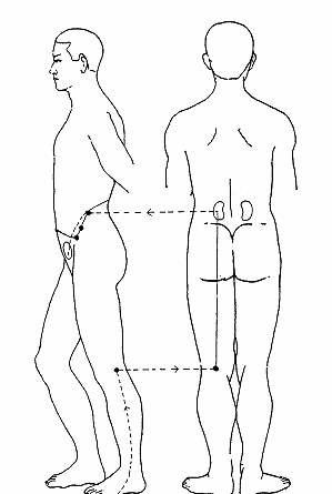 小强百宝盒