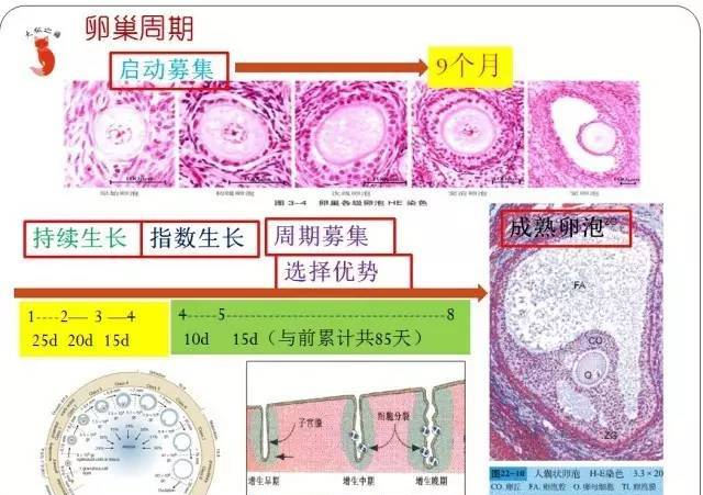 盛典文化网