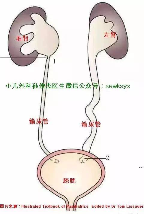 西安外事学院教务处