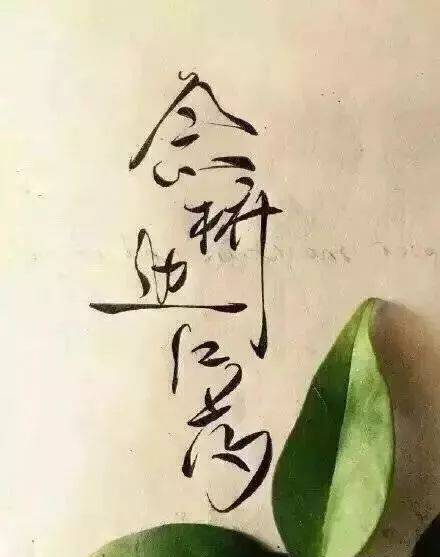 这字体叫菊花体，简直美哭了！！