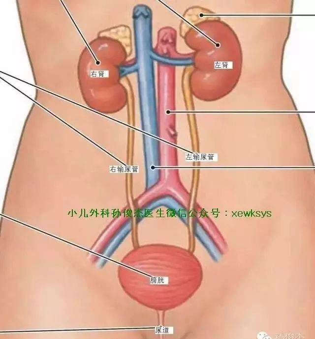 西安外事学院教务处