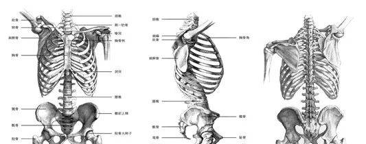 秀网互联