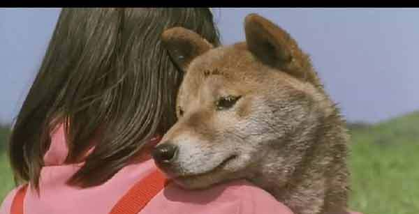推荐十部关于狗的电影，第一部就看哭，卓别林有一部上榜