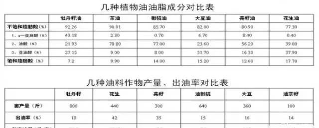 中国移动通信四川分公司