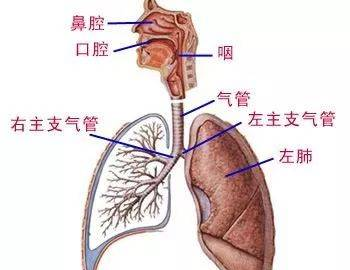 云南民族大学图书馆