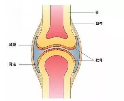 5招解决腿脚关节痛，您试过几招？