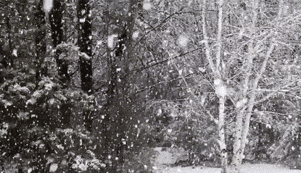 江西风景独好｜南昌下雪了，迎来2018年第一场雪，美的惊心动魄！