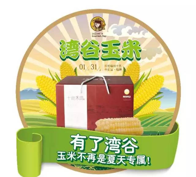 番茄小说网