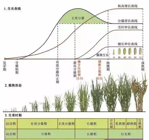 笔下文学网