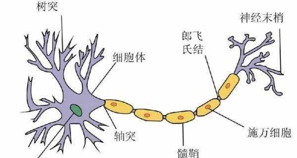 中国企业社会责任指南