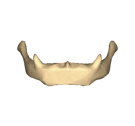 揭秘：“神秘”的舌骨兄 Hyoid