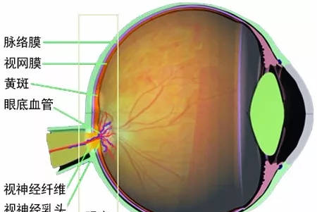 盒子比价网