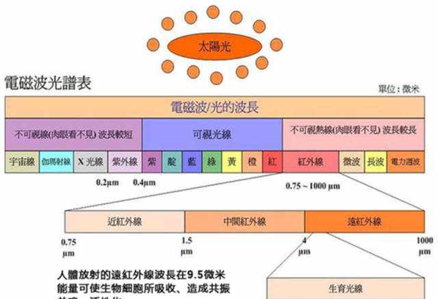 人事考试教育网