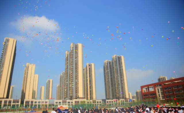 重磅丨绿城育华幼儿园明日开学，你关心的都在这儿！