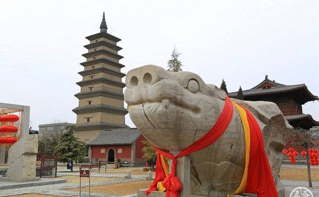 正定开元寺，这里有中国最大的赑屃，超过了历代帝王将相的神道碑