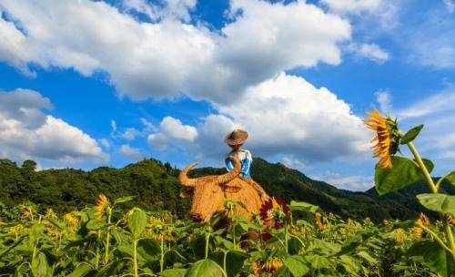 灯花不堪剪