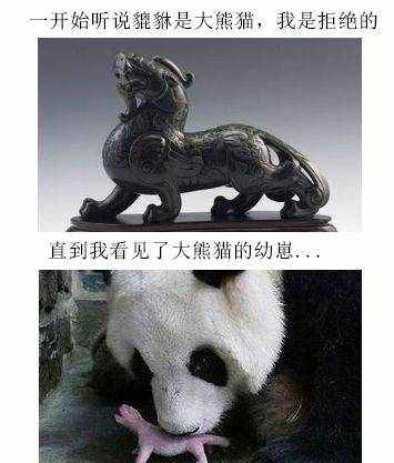 成为国宝前的大熊猫在几千年历史中是怎样的存在呢？