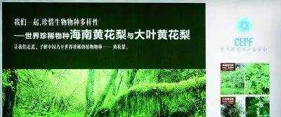 北京药品网