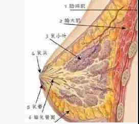 新顶点小说网