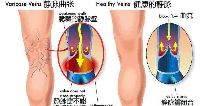 教育干部网络学院