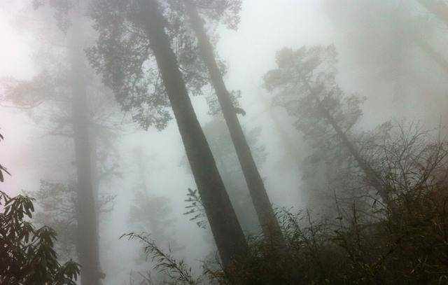 四川洪雅的瓦屋山居然私藏了这么一个死亡之地，胆小的就不要去了