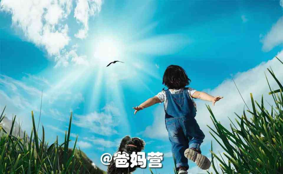 天价幼儿园 20多万/年的天价幼儿园、蒙台梭利、华德福、那些最好的幼儿园，都在做同一件事