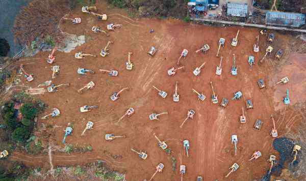 野生动物医院 外媒关注中国大力治理野生动物交易