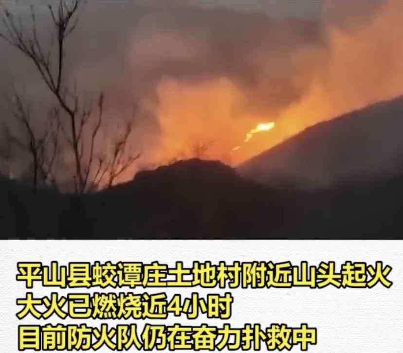 河北大火最新消息 昨晚河北多地大火，有你家乡么赶快来看一看