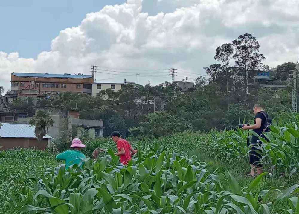 禄劝一中 全国关注的云南禄劝“网络直播班”，今年高考全上“一本”了！