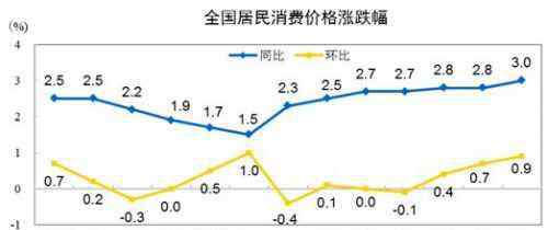 9月cpi 2019年9月CPI公布 9月居民消费价格主要数据