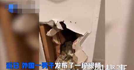 企鹅男 男子搬新家后发现墙里藏满现金 不可思议现场曝光内幕曝光让人震惊