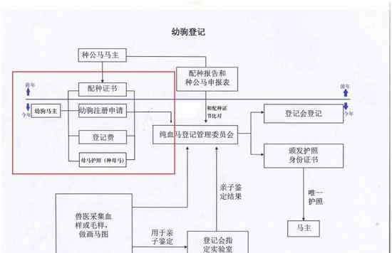 注册登记流程 马匹登记工作流程介绍