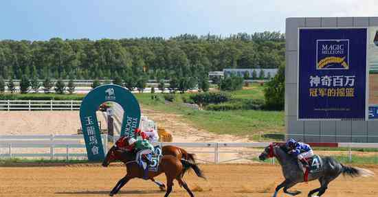 玉龙锦 名驹“丹山”后裔登陆“2019玉龙秋季拍卖会”