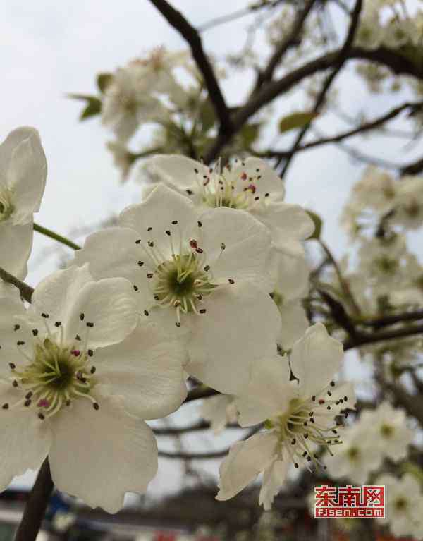 雨水节气图片 雨水节气图片朋友圈说说心情句子 2020雨水节气文案祝福语