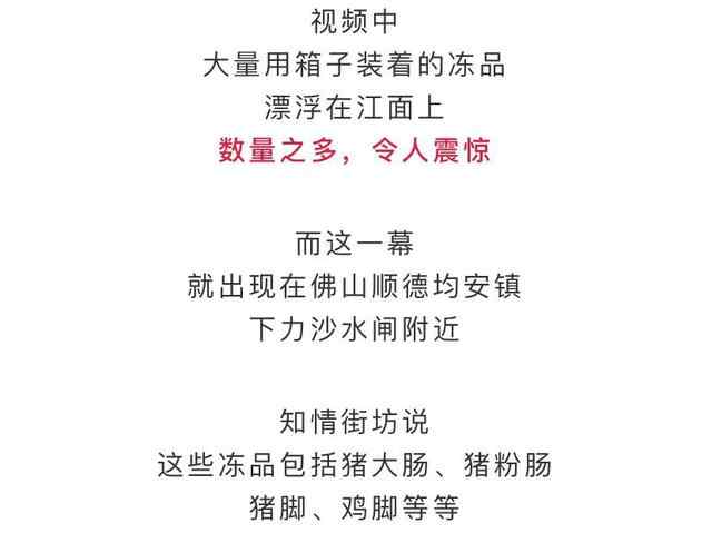 江边漂4吨来源不明走私冻肉遭哄抢 切勿贪占小“便宜” 事件的真相是什么？