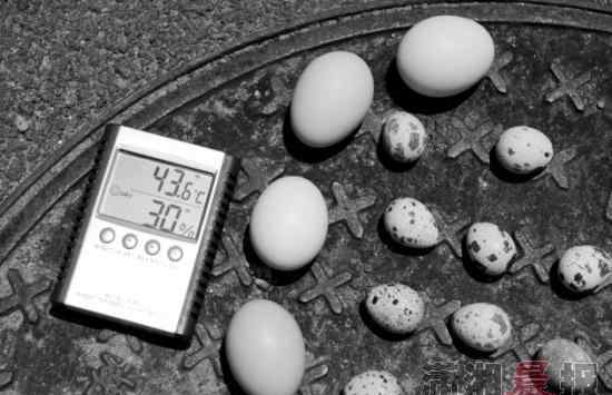 鹌鹑蛋煮多久能熟 长沙高温来袭 车内最高温超80℃3小时烤熟蛋