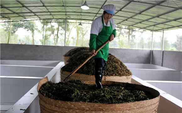 冬菜 大足“非遗”传承人的冬菜情结 拯救品牌冬尖