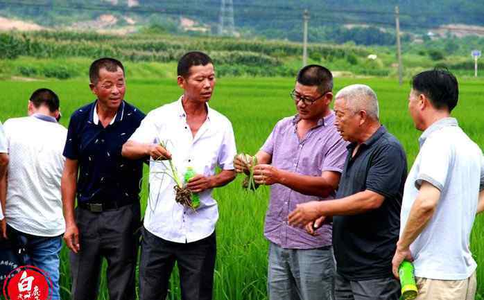 高级职业农民 年薪15万  农村中高级职业农民成为抢手资源  你还在观望吗