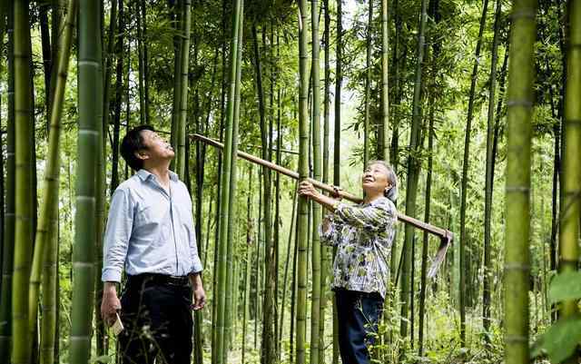 乡亲直供 乡村基包下一整座山，只为你尝一口春天的鲜笋