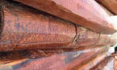 木头的密度 这种木材到底有多牛：是世界上密度最大的木材，被称为木中钻石