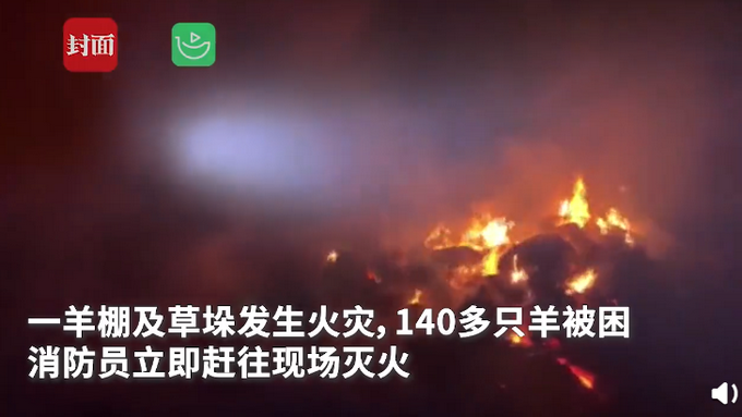 内蒙古赤峰一羊棚起火变“烤台” 上百只羊活活烧死全身乌黑 画面曝光文章配图
