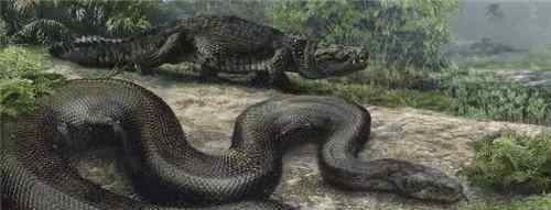 巨蜥斗巨蟒 史上最大的巨蟒，身长达15米，捕食鳄鱼为生，至今没有发现其天敌