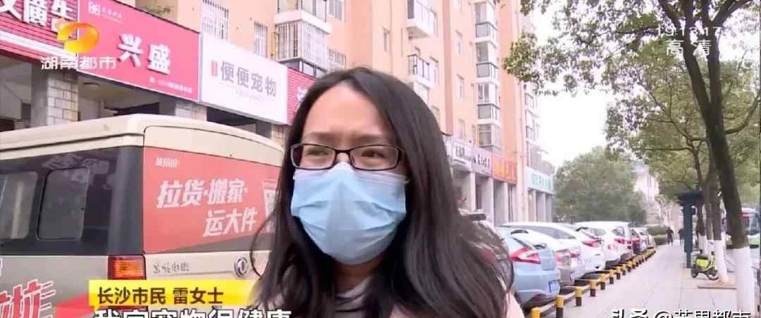 长沙一女士爱猫洗澡后殒命 宠物店回应：“一分钱都不会给你！”