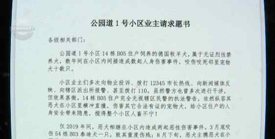 牧羊犬小区内咬死咬伤10多只同类！百余名业主求助 狗主人却这样做